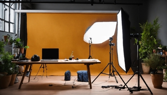 Hair Bun Vector, Table, Personal Computer, Laptop, Computer, Plant