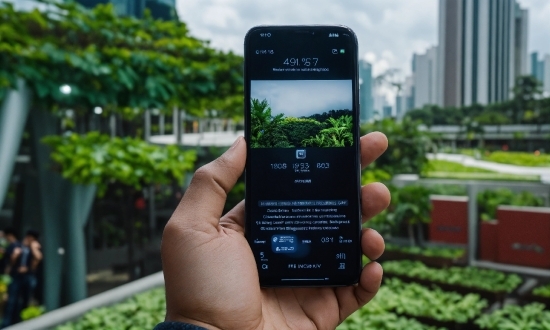 Hand, Mobile Phone, Sky, Telephony, Plant, Communication Device