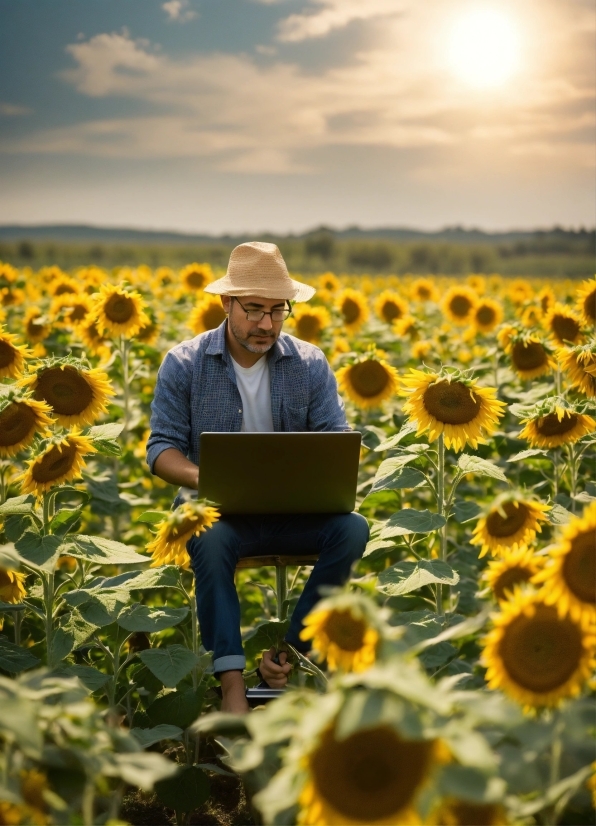 Hr Stock Photo, Flower, Plant, Sky, Cloud, Photograph