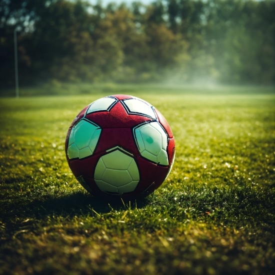 Image To Ai Vector, Sports Equipment, Football, Plant, Soccer, Ball