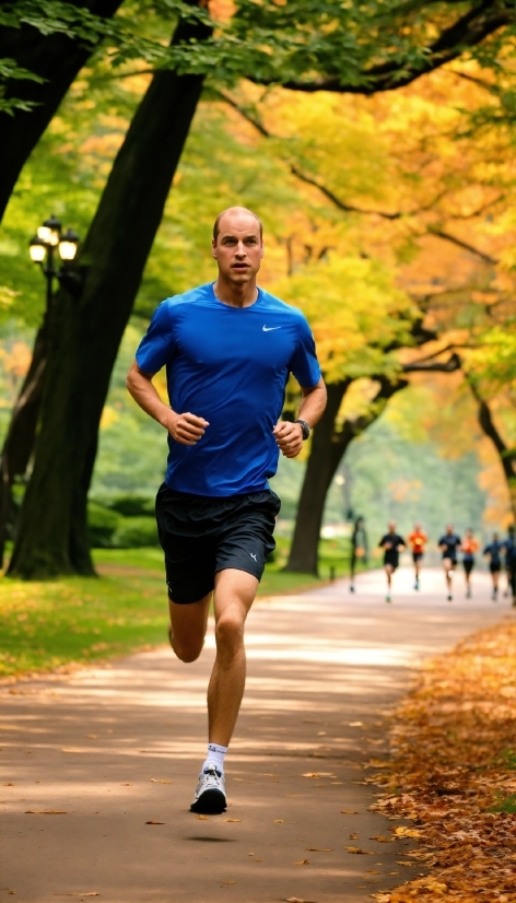 Knight Stock Image, Shorts, Plant, Tree, People In Nature, Asphalt