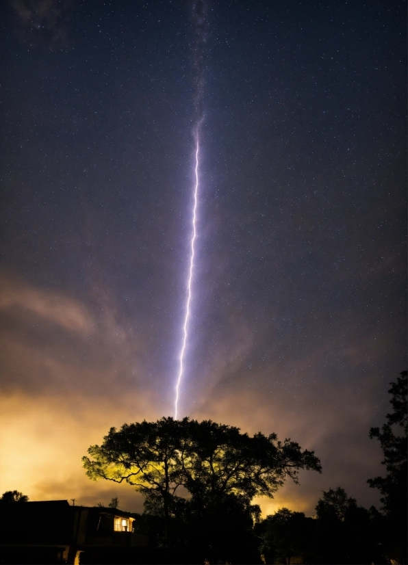 Millie Marotta Colouring Books, Sky, Atmosphere, Light, Tree, Thunder