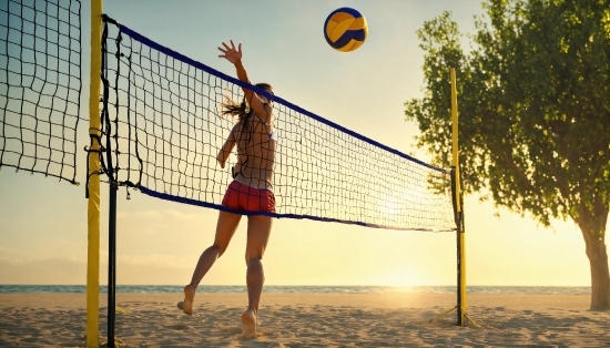 Organization Stock Photo, Clothing, Volleyball Net, Sky, Sports Equipment, Active Shorts