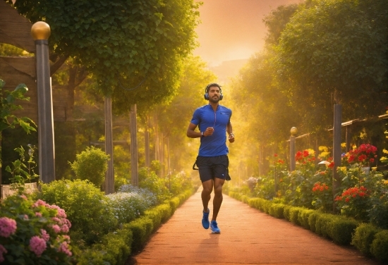 Outside Stock Photo, Plant, Shorts, Light, Sky, Nature