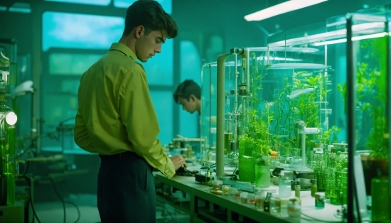 Sexy Stock Photos, Green, Plant, Organism, Terrestrial Plant, Science