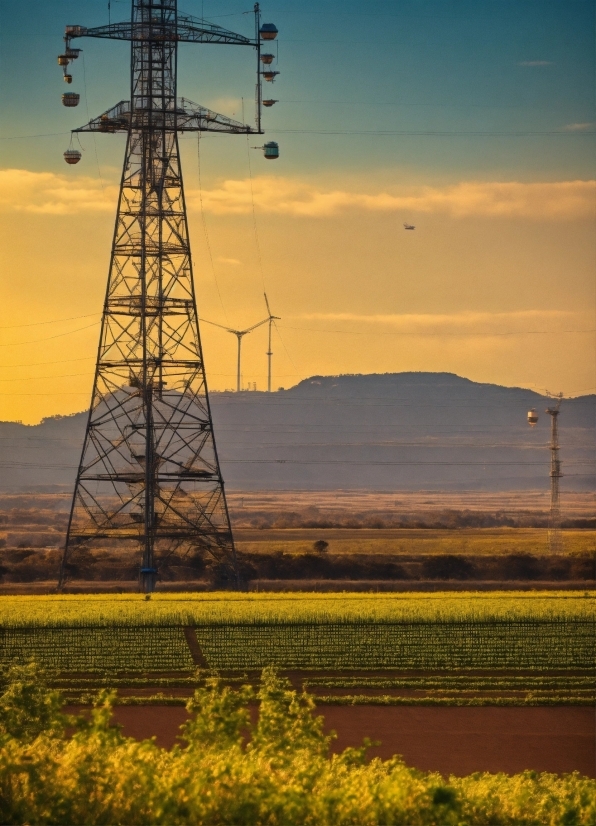 Sky, Cloud, Plant, Ecoregion, Light, Electricity