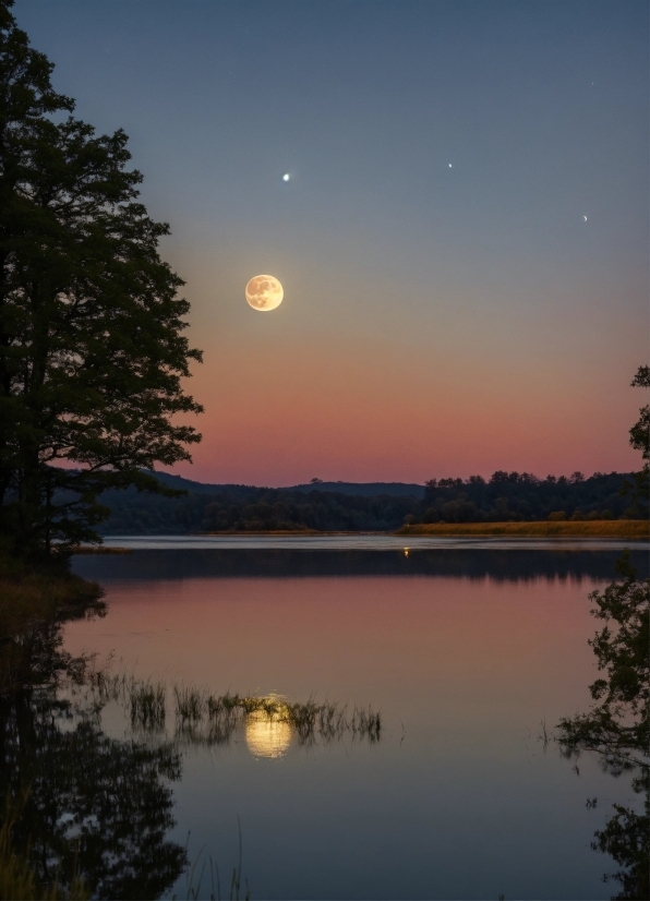 Spring Pictures, Water, Sky, Water Resources, Atmosphere, Plant