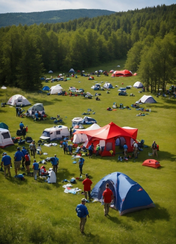 Trophy Stock Image, Ecoregion, Tent, Plant, Nature, Tree