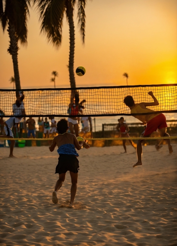 Volleyball Net, Shorts, Sky, Sports Equipment, Active Shorts, Net Sports